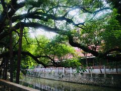 -小洲村
