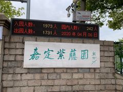 -嘉定紫藤园