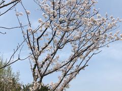 -大宁灵石公园西门票处