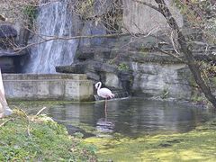 -沈阳鸟岛