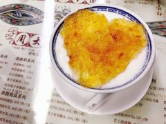 桃胶双皮奶-周大娘牛乳(旧寨古村总店)