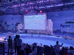 -华夏文旅海洋公园