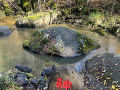 -茅兰沟国家森林公园