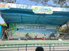 -光明农场大观园