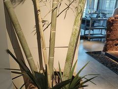 -黄山老妈·土菜(碧桂园店)