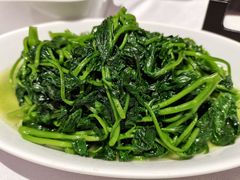 清炒苕尖-粗茶淡饭·汉口公馆(循礼门店)