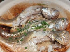 -扬州狮子楼·非遗淮扬菜(东关街店)