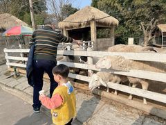 -都江堰玫瑰花溪谷
