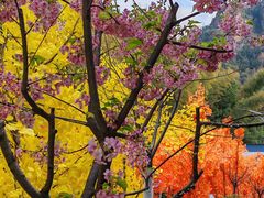 -浏阳石牛寨风景区