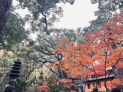 -普陀山风景名胜区-法雨禅寺