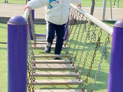 -小鱼草莓采摘园农家乐·小鱼餐厅