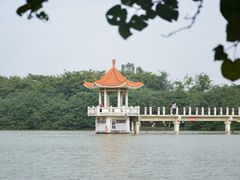 -番禺大夫山森林公园