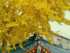 -长安寺