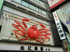 -蟹道乐(道顿堀本店)