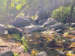 -云岫谷游猎自然风景区