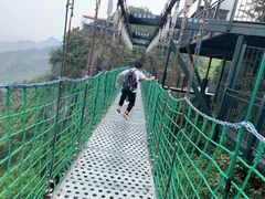 -梦幻奥陶纪景区