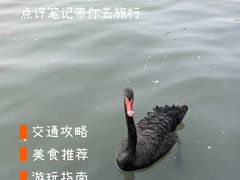 -杭州西湖风景名胜区-三生石