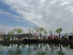 -无锡蠡湖国家湿地公园-蠡园