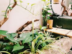 -八哥美术·成人美术画室(总校区)
