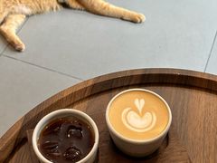 -Again Coffee Roaster(香蜜湖店)