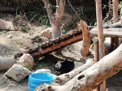 -宁波野生动物园