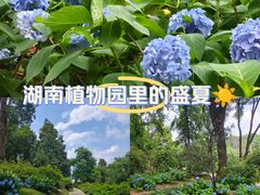 -湖南省植物园