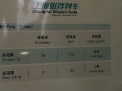 -龙阳路磁悬浮列车总站-停车场