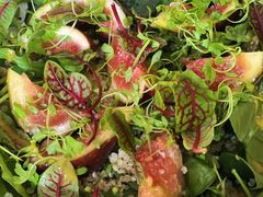 无花果甜菜沙拉-BOR Eatery(安福路店)