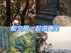 -田心森林公园