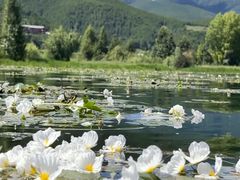 -丽江泸沽湖景区