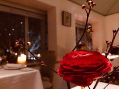 大堂-蝶舍·MAISON PAPILLON