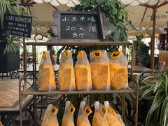 -京北渔家傲