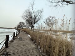 -野鸭湖国家湿地公园