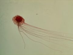 -沈阳海洋探索中心