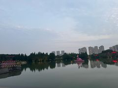 -青枫公园