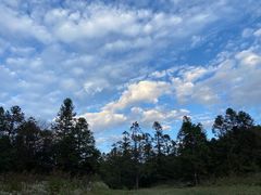 -武陵山森林公园