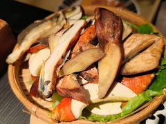 见手青-芸鲜季·云南野生菌餐厅· 云南风物味研社(闵行店)