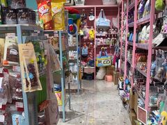 -FAELING PETS美天灵宠物(合生汇店)