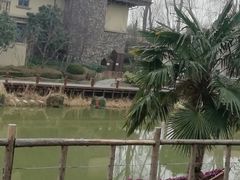 -思念果岭悦温泉