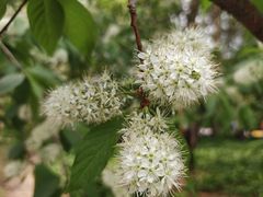 -黑龙江省森林植物园