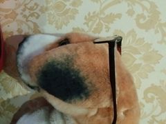 android_upload_pic-浙影时代影城·宁波东门银泰店(原宁波时代电影大世界)