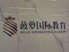 -菠萝国际教育专注Alevel·IGCSE·IB·AP·托福雅思培训辅导(静安校区)