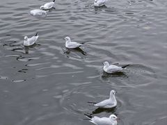 -云南滇池花园国际大酒店温泉