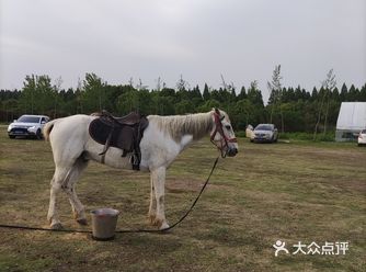 会到第三方口袋呀！在干啥呢！