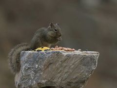 -北京清河镇农副产品交易市场中心