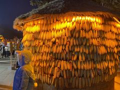 -长春市南湖公园