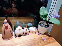 -琥珀咖啡 Ambercoffee