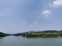 -佛手湖郊野公园