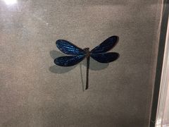 -剪刀石头布家居广场