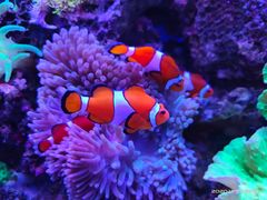 -多彩贵州城极地海洋世界